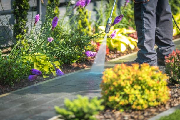 Best Boat and Dock Cleaning  in Laurel Springs, NJ